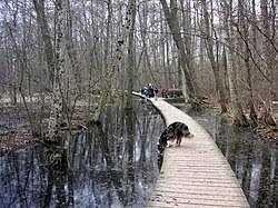 Kyrksjölötens naturreservat